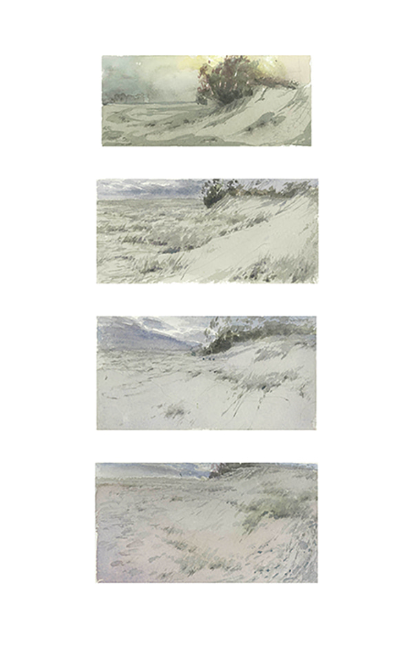 Dune Studies by Scott  Breton | Lethbridge Gallery